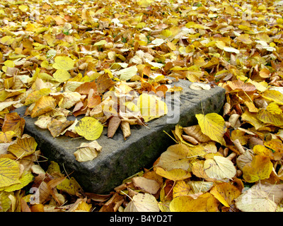 Pierre tombale obscurci par des feuilles mortes, Seconde Guerre mondiale, les soldats russes Graves à Mülheim an der Ruhr, Allemagne Banque D'Images