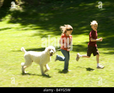 Caniche standard fonctionne avec les enfants Banque D'Images