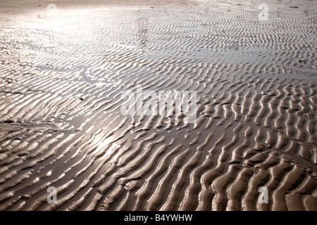 Ondulations dans le sable Banque D'Images