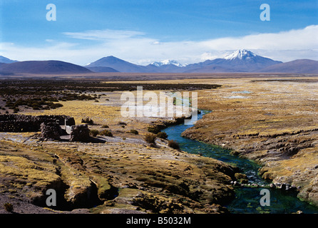 L'altiplano dans les hautes plaines du Parc National Volcan Isluga Chili Amérique du Sud Banque D'Images