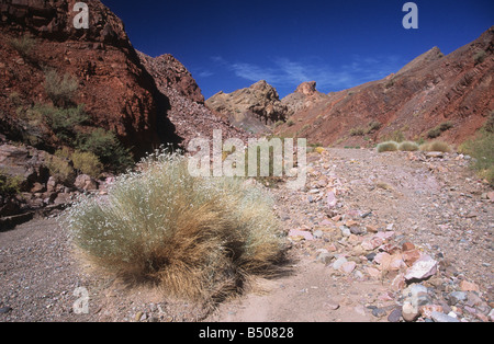 Lit de ruisseau asséché dans le désert dans les contreforts de la precordinllère andine près de Barreal, vallée de Calingasta, Argentine Banque D'Images