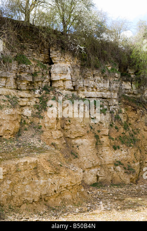 Stony Furlong une ancienne carrière de pierre de Cotswold et coupe de fer près de Chedworth, Gloucestershire Banque D'Images