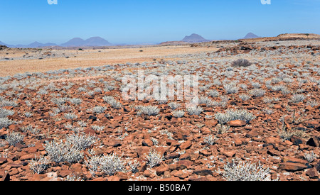 Paysage de savane et de montagne dans la région de Twyfelfontein Damaraland Namibie Banque D'Images