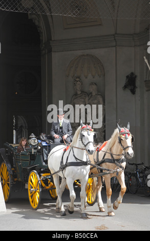 Wien, Heldenplatz, Eingang zum Leopoldinischen Trakt der Hofburg, Fiacre, Kutscher, Schimmel Banque D'Images