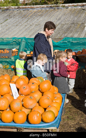 Enfants choisissant leurs citrouilles pour Halloween, West Sussex, Royaume-Uni Banque D'Images