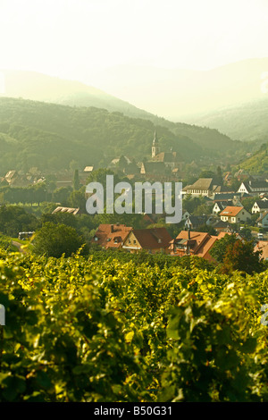 Sep 2008 - vignes et villages le long de la Route des Vins Alsace France Banque D'Images