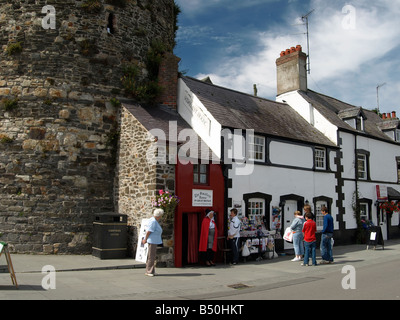 La plus petite maison, Conwy, au nord du Pays de Galles, UK - Construit dans les murs de la ville médiévale. Banque D'Images