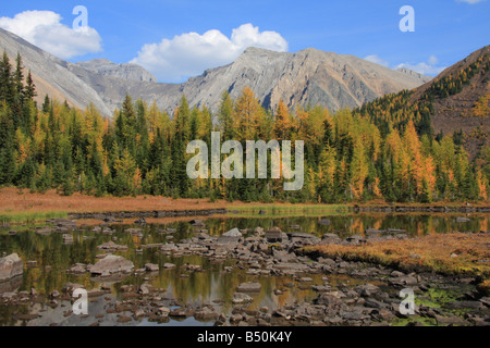 Rocky tarn sur sentier des prés de la rivière Highwood, Kananaskis, Alberta Banque D'Images