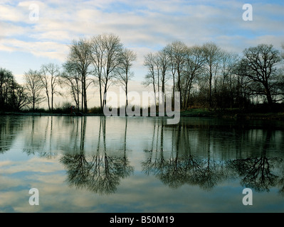 Paysage d'hiver avec des arbres et lac gelé Banque D'Images