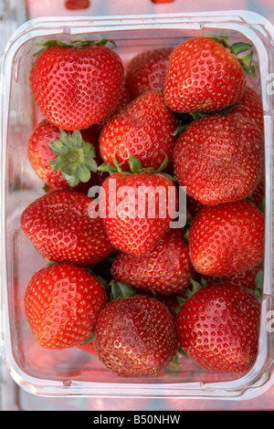 Punnett de fraises en vente à Borough Market, London Banque D'Images