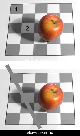 Illusion optique : Les deux carrés numérotés sur le plateau (photo du haut) sont le même ton. La preuve, c'est illustré dans la photo du bas Banque D'Images