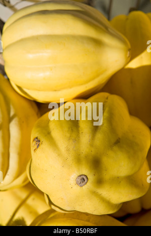 Citrouilles blanches Acorn en vente en automne au Royaume-Uni Banque D'Images