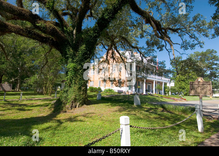 Le Chêne d'Évangéline à la place d'Évangéline et de vieux Castillo Hotel à Saint Martinville, en Louisiane Banque D'Images