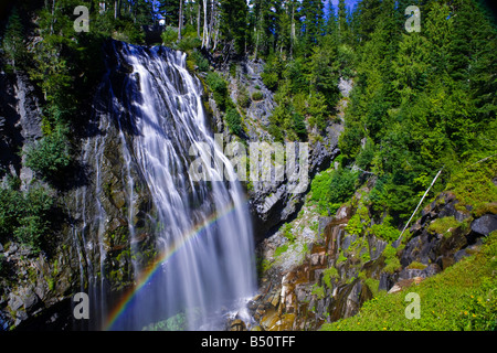 Narada Falls, parc national de Mount Rainier Banque D'Images