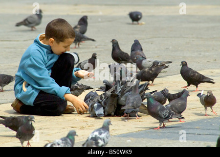 Un jeune garçon à l'alimentation des pigeons dans la place principale du marché de Cracovie en Pologne. Banque D'Images