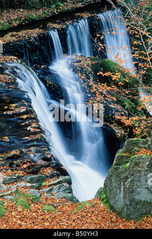 Fourneau Falls talie bont Dyfed West Wales Banque D'Images