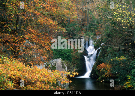 Fourneau Falls talie bont Dyfed West Wales Banque D'Images