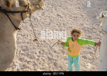 Un Bédouin girl guides des chameaux dans le désert du Sinaï près de Dahab en Egypte Banque D'Images