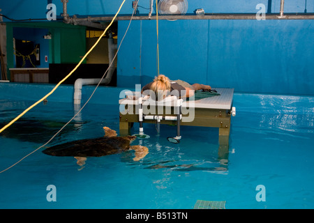 L'étude de biologiste en audience tortue Banque D'Images