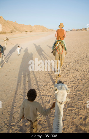 Circonscription de tourisme sur les chameaux bédouin dans le désert du Sinaï près de Dahab en Egypte Banque D'Images