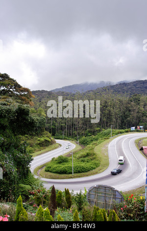 Route de montagne sinueuse menant à Cameron Highland en Malaisie. Banque D'Images