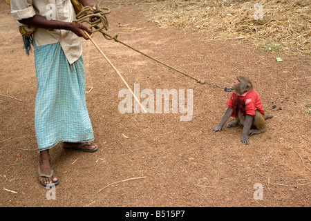 Un singe qui joue des danses,en face d'audiances en suivant les instructions de son maître. Banque D'Images