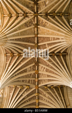 Cathédrale de l'église de Saint Pierre Ville westcountry Exeter Devon England UK Banque D'Images