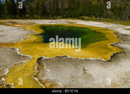 Sources chaudes dans le Parc National de Yellowstone Banque D'Images