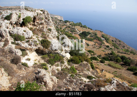 Les falaises de Dingli, Malte. Banque D'Images