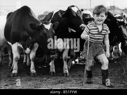 L'un et un font quatre pour Tony - à la ferme. Les choses se développent vers le bas sur le Paradis ferme. Et une personne qui se porte très bien, c'est Tony farmer Weightman - qui n'existe que depuis deux ans. Quand il est né son grand-père chaque lui a donné un veau de race Frisonne. Les veaux ont rejoint le reste du troupeau au Paradise Farm, Birstall, près de Leeds. Et maintenant, ils s'attendent à ce que les mollets eux-mêmes. 'Il doit avoir 25 ou 30 Frisons au moment où il est de 21", a déclaré le père de Tony, M. David Weightman, 25. Dans le cadre de son plan à long terme, Tony s'est enregistrée en tant que membre de la société britannique des bovins de race Frisonne Banque D'Images