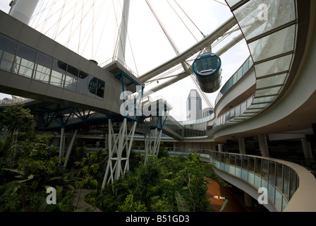 Singapore Flyer Banque D'Images