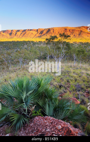 Osmand Range, le Parc National de Purnululu, Kimberley, Western Australia, Australia Banque D'Images