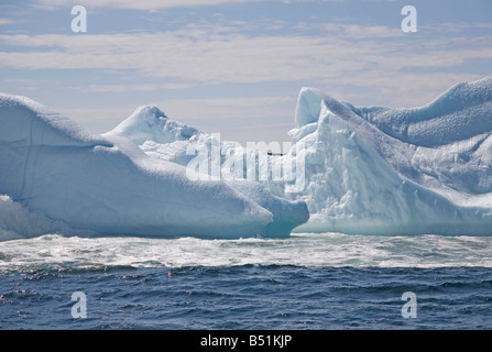 Iceberg près de Twillingate, Newfoundland, Canada Banque D'Images