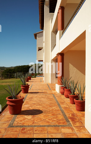 Plantes d'Agave sur Patio, Fairmont Rancho Banderas, Bahia de Banderas, Nayarit, Mexique Banque D'Images