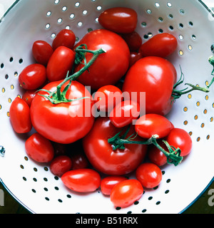 Les tomates dans une passoire Banque D'Images