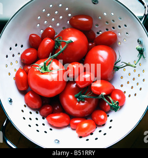 Les tomates dans une passoire Banque D'Images