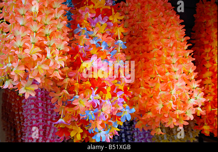 Décoration fleurs indiennes colorées typiques Banque D'Images
