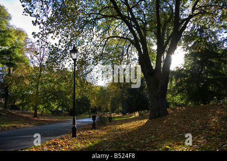 L'Arboretum, Derby, Derbyshire, Angleterre Banque D'Images