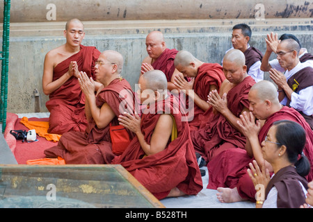 Des moines bouddhistes prient en vertu de l'arbre de Bodhi à Bodhgaya, Etat du Bihar, Inde. Banque D'Images