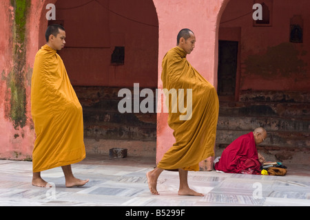 Des moines bouddhistes prient à Bodhgaya, Etat du Bihar, Inde. Banque D'Images