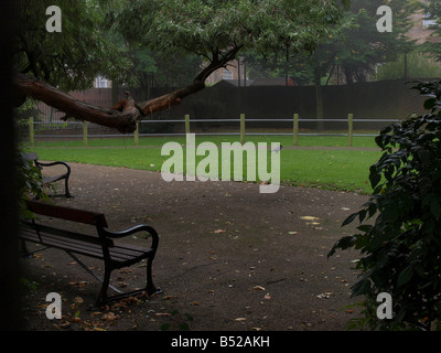 Le brouillard du matin d'automne Banque D'Images