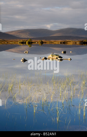 Soir sur Lochan Na h Achlaise Ecosse sur Rannoch Moor Banque D'Images