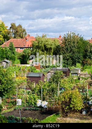 Les allocations, les parcelles de jardinage et des hangars, England, UK Banque D'Images