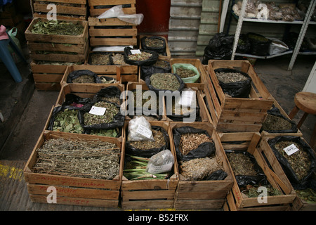 Des caisses en bois dans les herbes Herbes de guérison du marché mexicain des herbes médicinales herbes odorantes des caisses de stockage de caisses d'expédition Curandera Banque D'Images