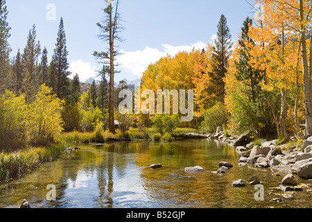 Les couleurs de l'automne près du lac Sabrina, Bishop Creek Canyon, l'Est de Sierras Banque D'Images