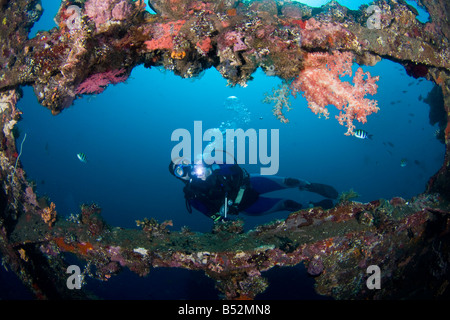 Un plongeur, l'exploration de l'épave de Tulamben Liberty, Bali, Indonésie. Banque D'Images