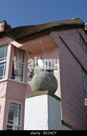 Une mouette de perchoirs au-dessus d'une boule de Pierre barrière à Lyme Regis Dorset Une chaumière derrière Rose Banque D'Images