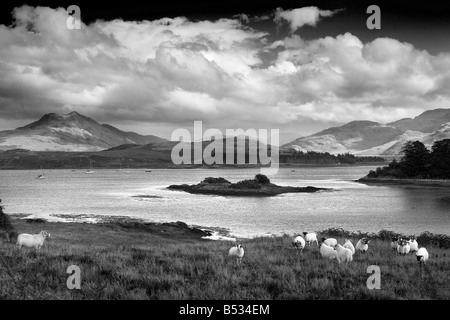 Vue depuis par Isle Ornsay Sleat, péninsule, île de Skye, Écosse Banque D'Images