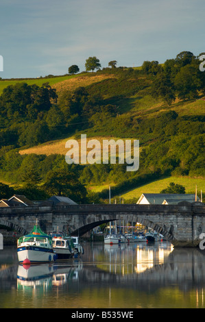 Aube d'été sur la rivière Dart à Buckfastleigh Devon UK Banque D'Images