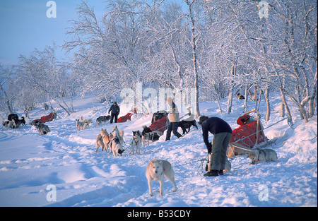 Fixe - obtenir des huskies Banque D'Images